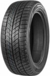 Double Star DW09 235/55 R17 99T